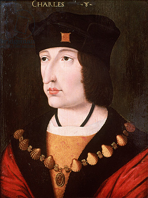 Карл VIII - король Франции (1483 -1498)