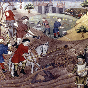 Сельское хозяйство Франции во второй половине XV века