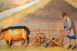 Сельское хозяйство Франции в XI—XIII вв.