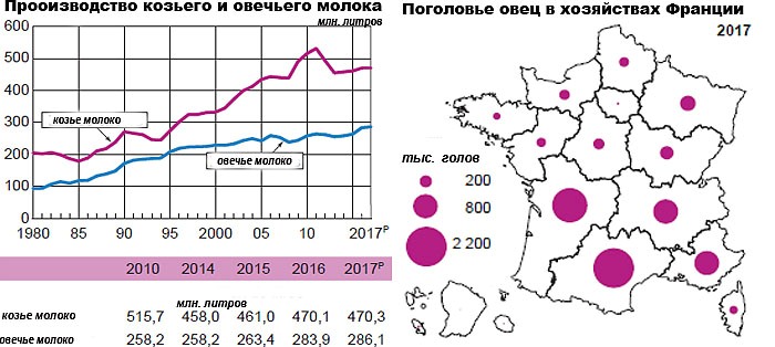Овцеводство и разведение коз во Франции (2017 г.)