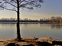 Озеро Багжерсе (Эльзас, Нижний Рейн)