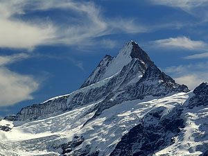 Гора Шрекхорн (Schreckhorn): 4 078 м