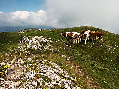 Гора Кре де Фрассе (Crêt des Frasses): 1536 м