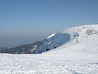 Гора О де Фалимон (Вогезы)