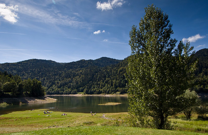 Озеро Вильданштейн (Эльзас). Пойма у северного берега озера