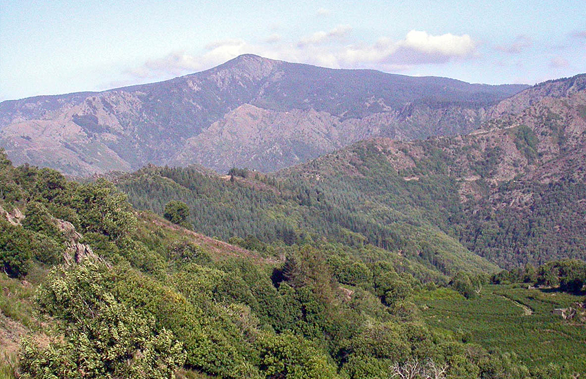 Гора Мон Эгуаль (Mont Aigoual) - 1 565 м. (Центральный массив)