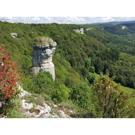 Национальный заповедник ущелье Валбуа (Reserve naturelle nationale du ravin de Valbois)