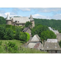 Замок Альбенак  (Château d'Albinhac)