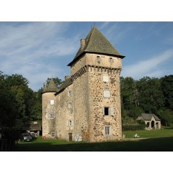 Буассонадский замок  (Château de la Boissonnade)