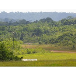 Амазонский парк Гвианы (Parc amazonien de Guyane)