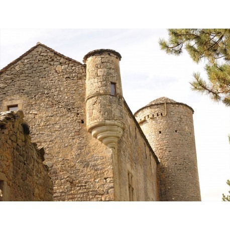 Замок Ма Ружье (Château de Mas Rougier)