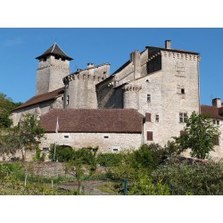 Замок Кажарк  (Château de Cajarc)