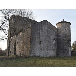 Башня Вьяла-дю-Па-де-Жо  (Tour du Viala-du-Pas-de-Jaux)