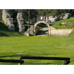 Останки галло-римского амфитеатра Пурпан-Ансели (Amphithéâtre romain de Purpan-Ancely)