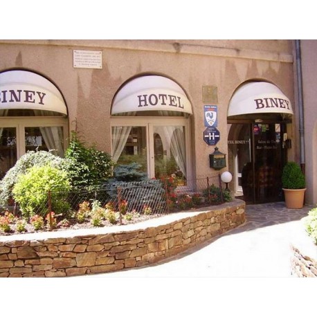 Отель Hotel Biney 3* (Родез, Авейрон)